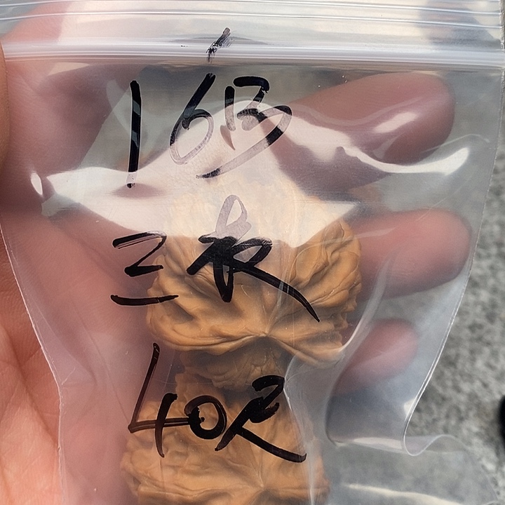 文玩核桃吊坠三棱