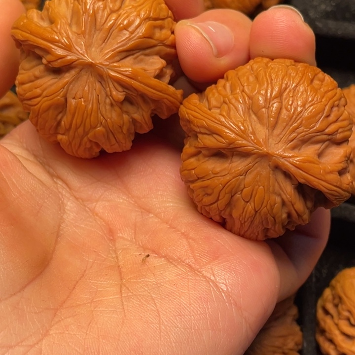 文玩核桃把件秦岭山脉核桃