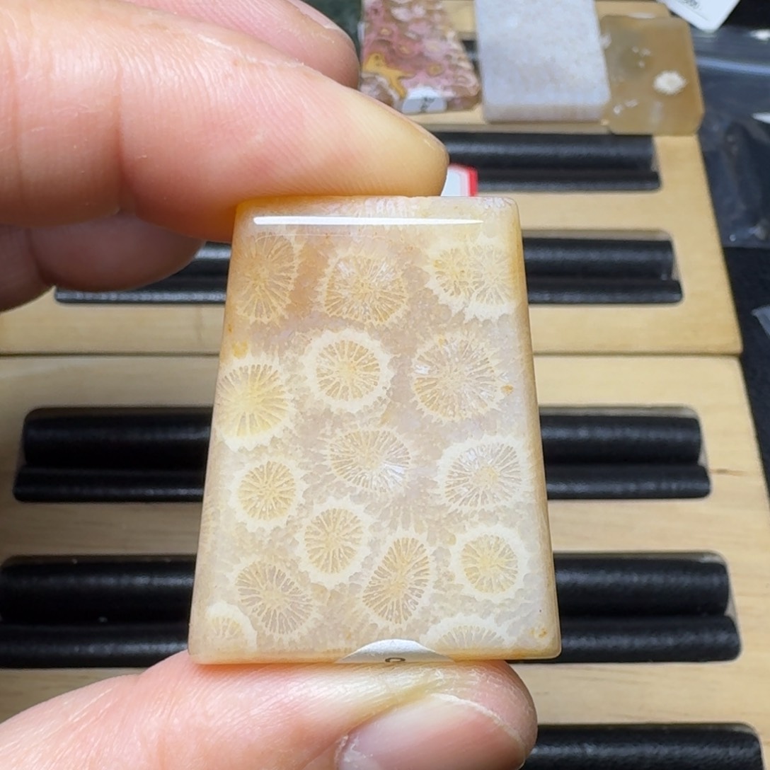 硅化玉纯天然色有机玉石未镶嵌