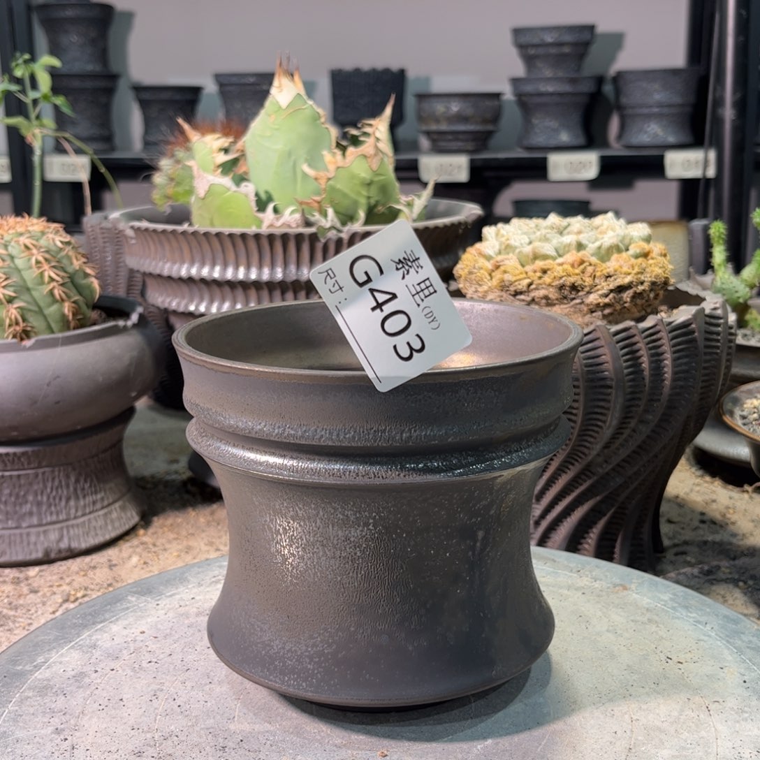 景德镇手工素里内口12.5高12