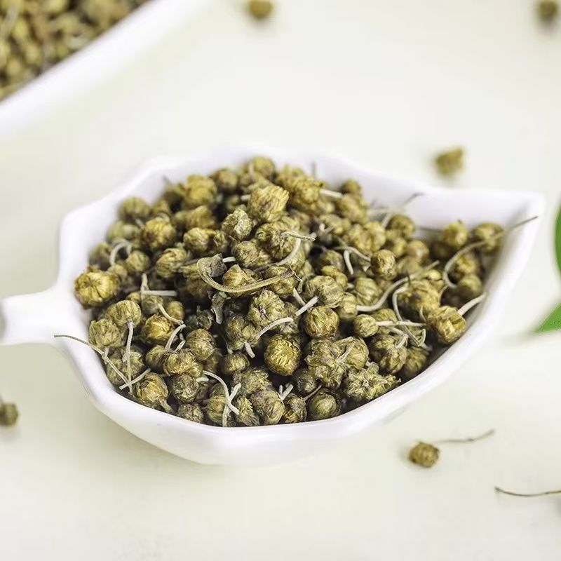 【陈家班专属】珍珠菊