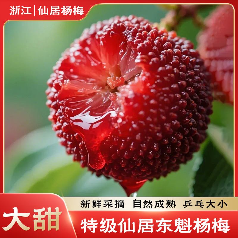 【9A买3斤送3斤】正宗仙居高山杨梅大东魁杨梅当天采摘现发浙江省