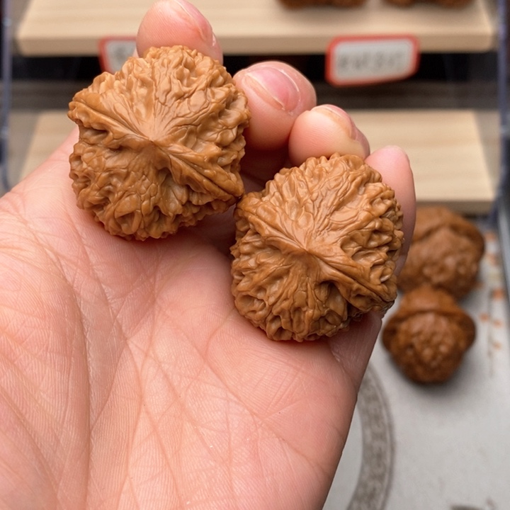 核桃把件冬龙眼元宝