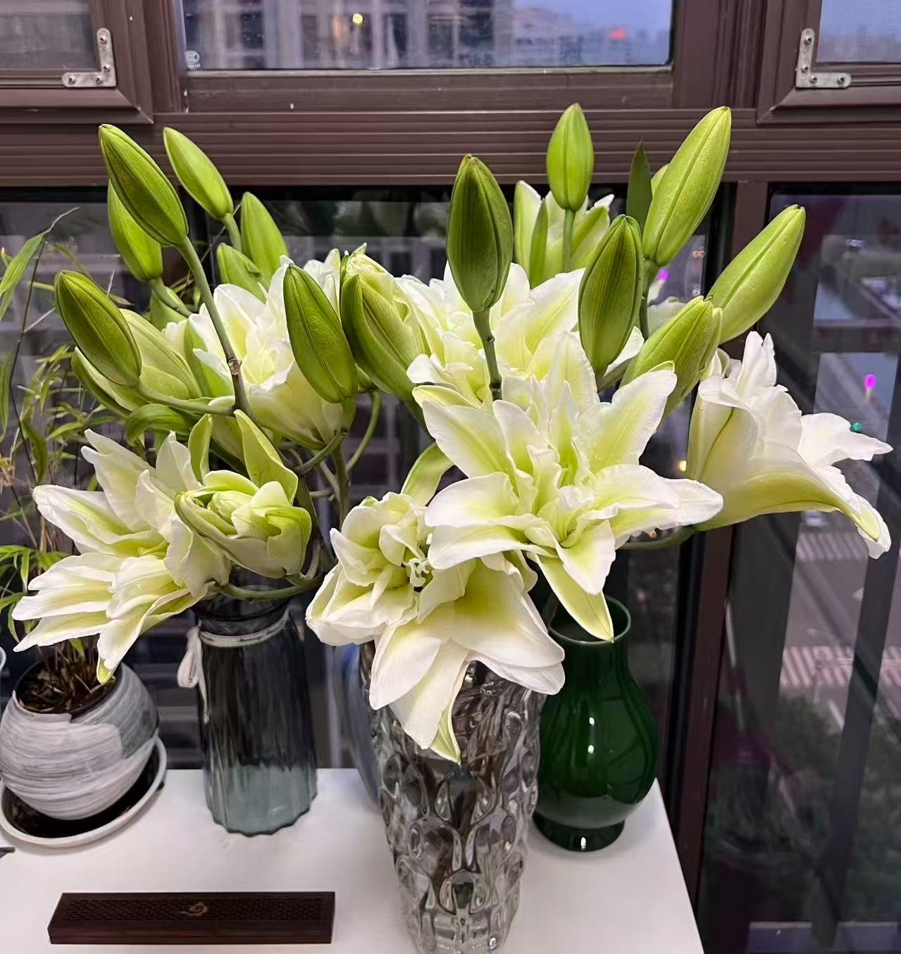 《优选》新品百合大全