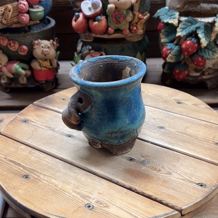 天***神特价多肉花盆百搭