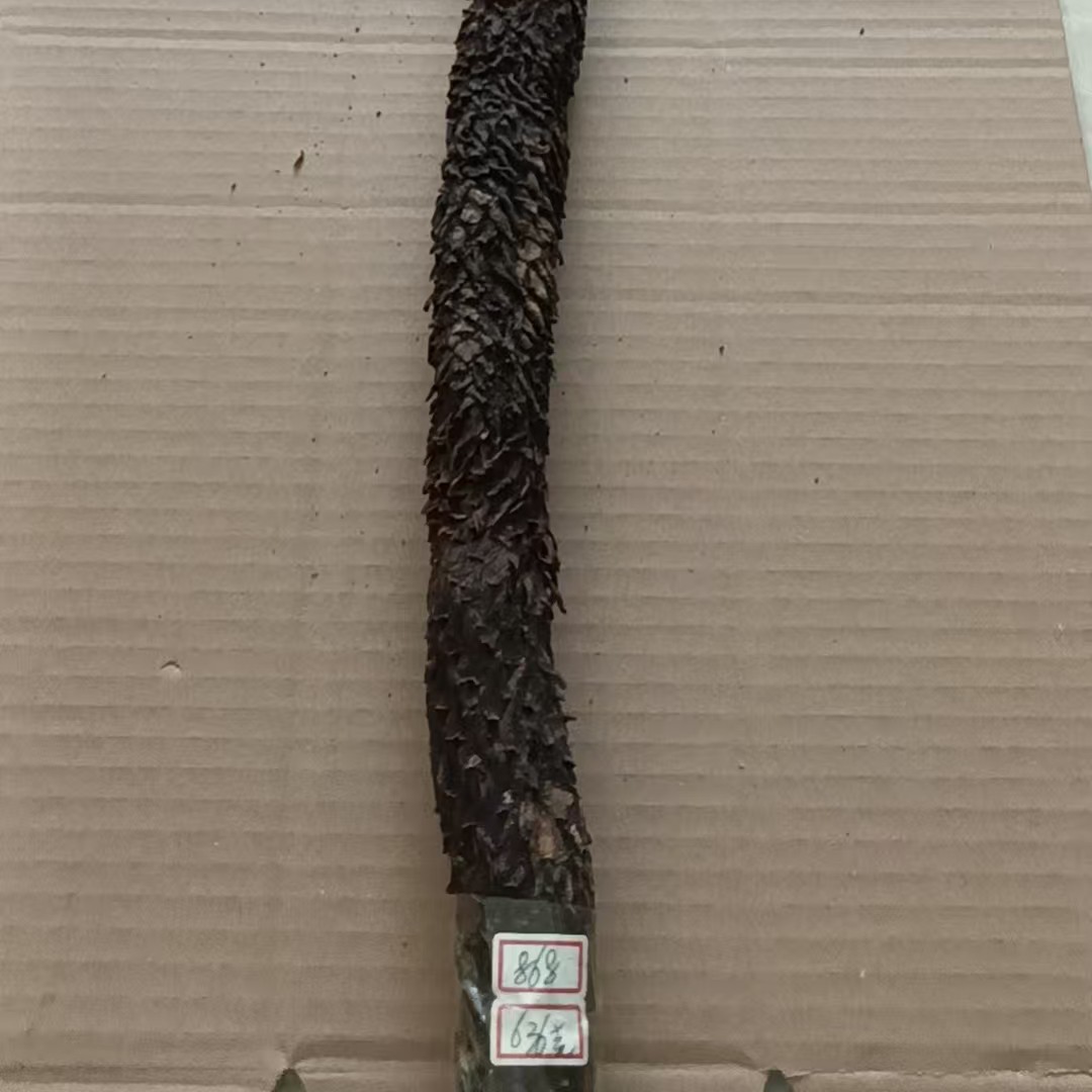 [苁蓉]牧民家自己的产品 可搭配枸杞