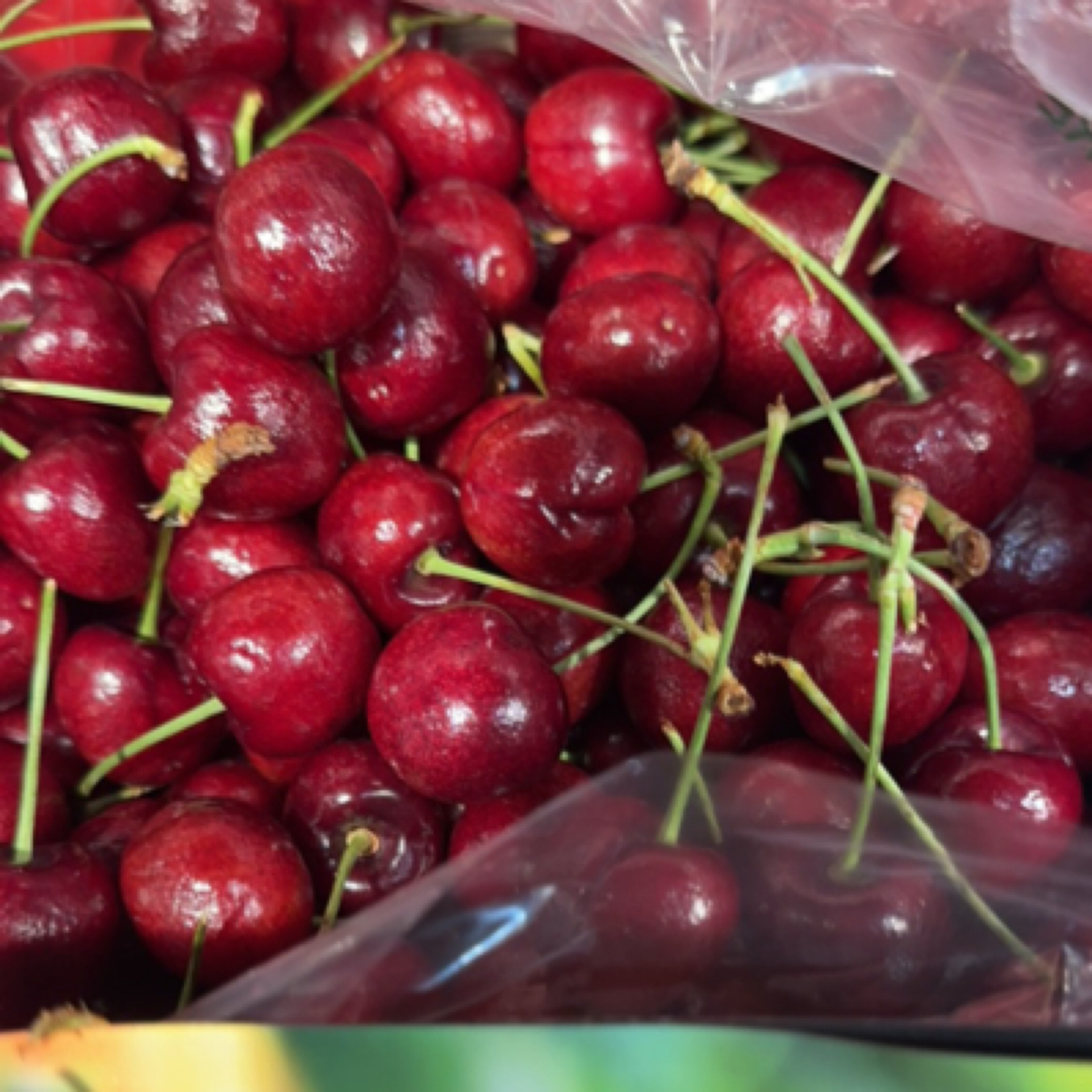 单J【智利进口车厘子】5斤10斤