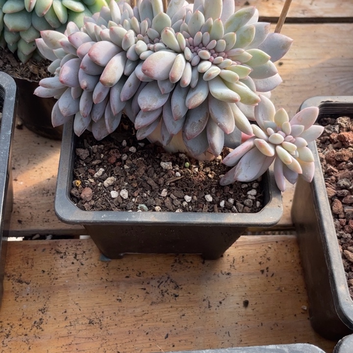 哈哈哈哈哈哈哈哈哈哈795