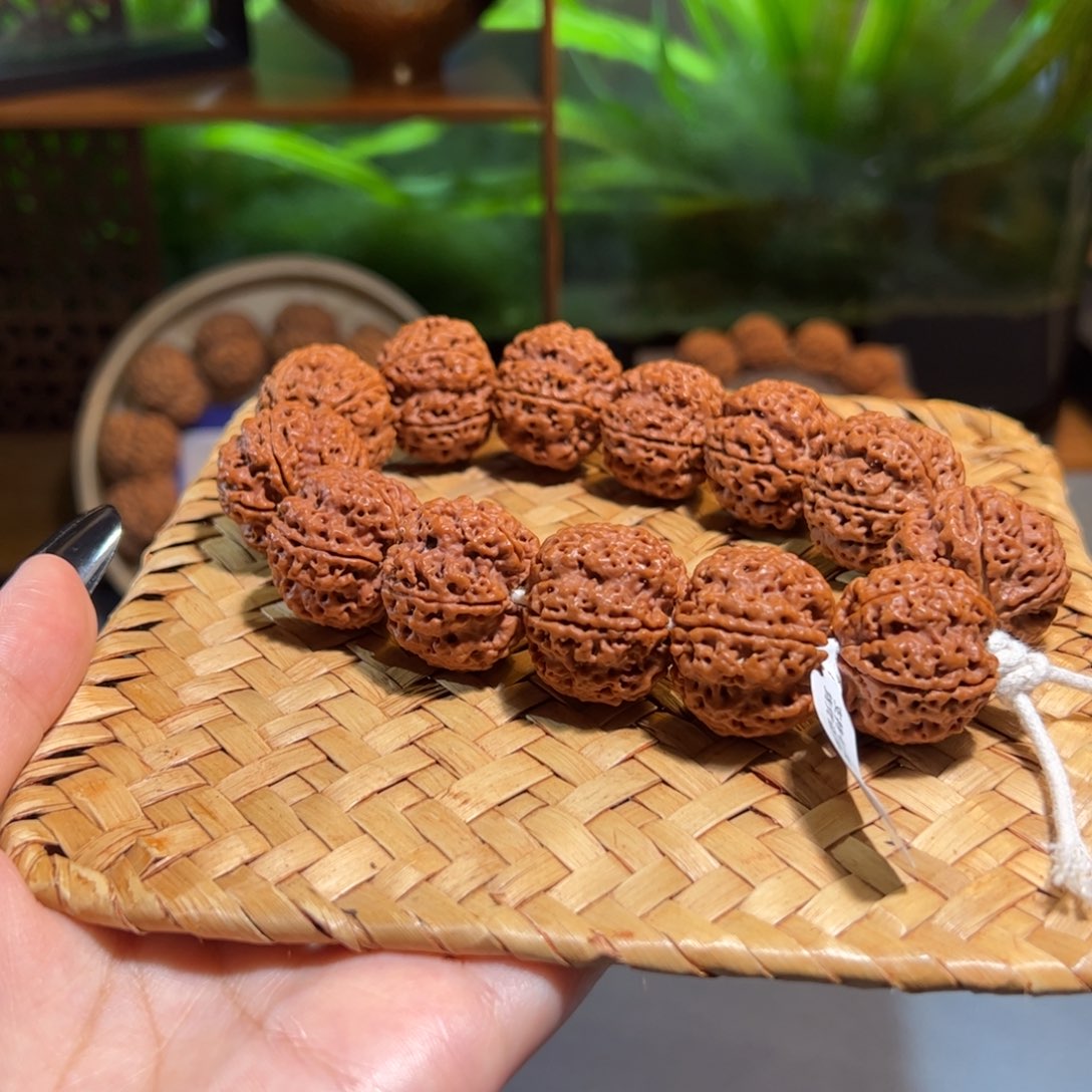 吊坠金刚菩提招财梅花23mm大金刚