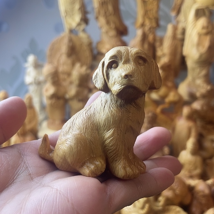 柏木（崖柏）崖柏金毛犬
