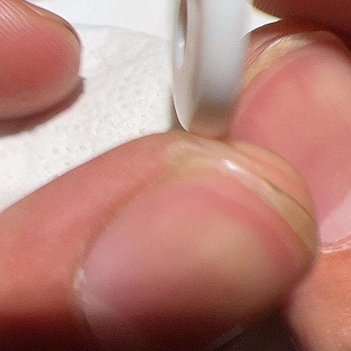 香榧木你的时候你是