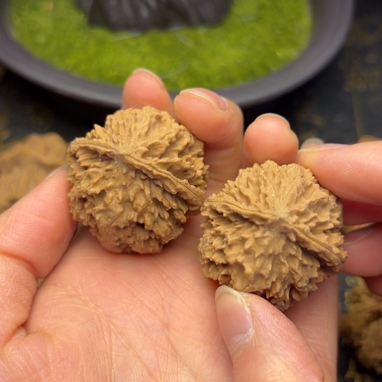 文玩核桃把件秦岭核桃17