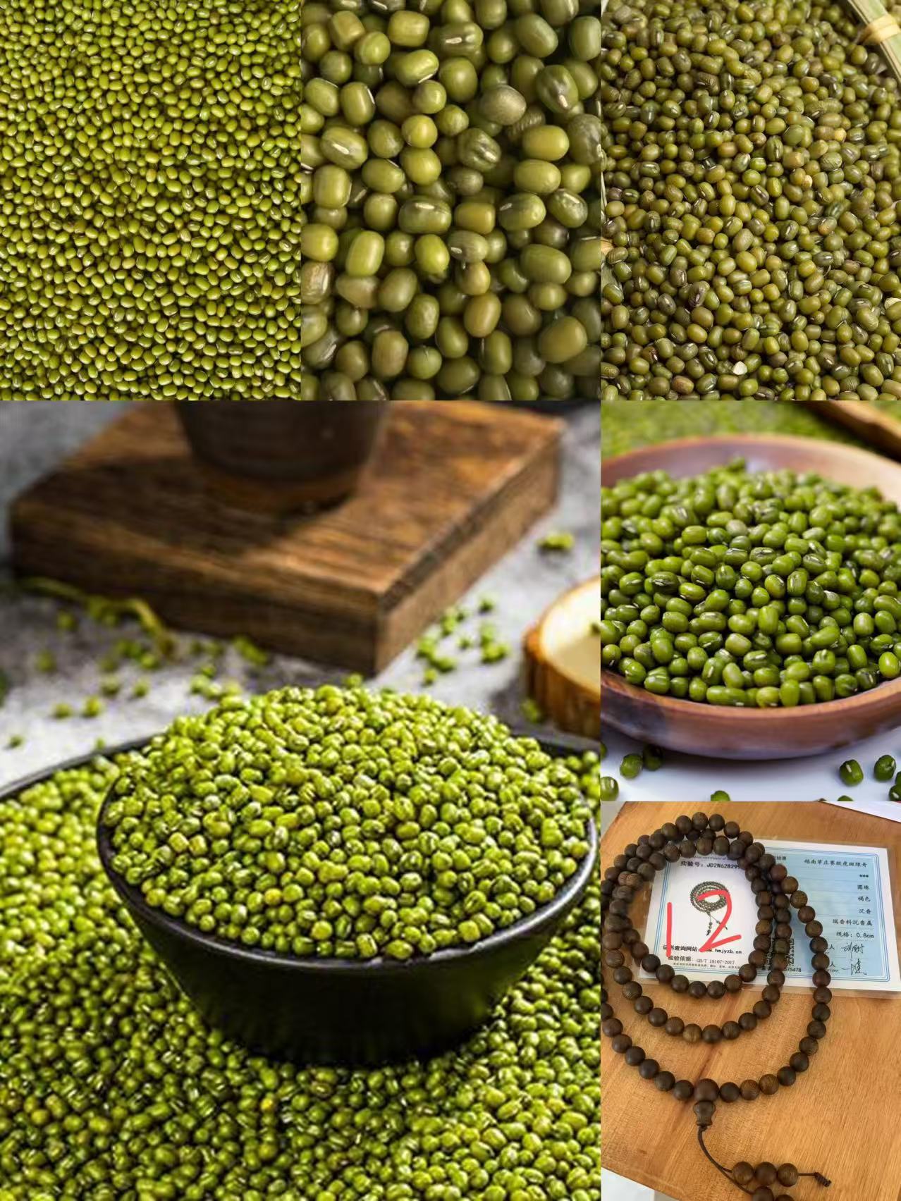 《12》龙腾专属土特产豆0.8cmx108-世0804-47g