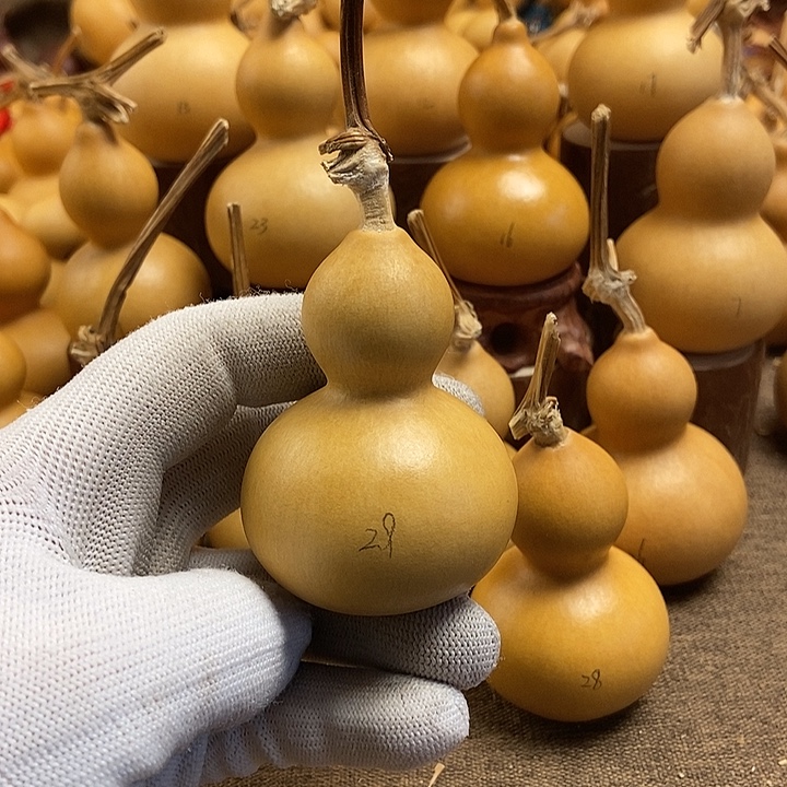 文玩葫芦 完美主义者 慎拍29