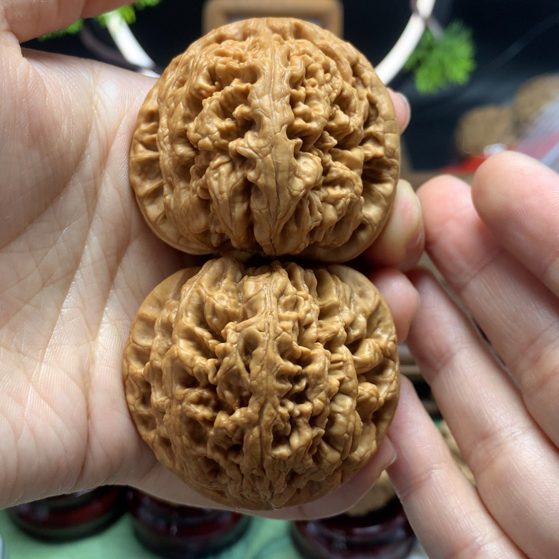 文玩核桃把件49粗筋