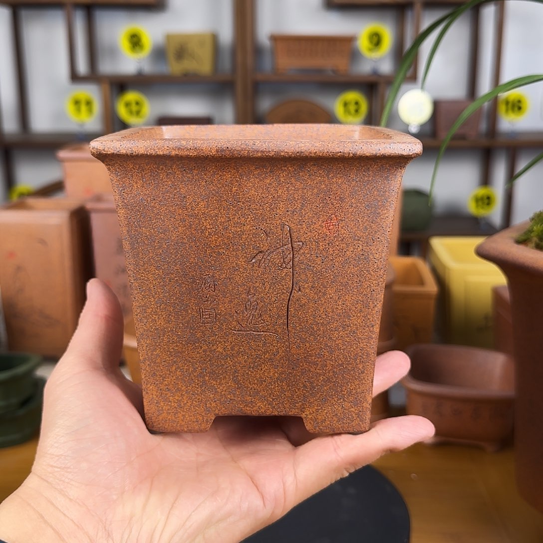 紫砂花盆路紫砂花盆