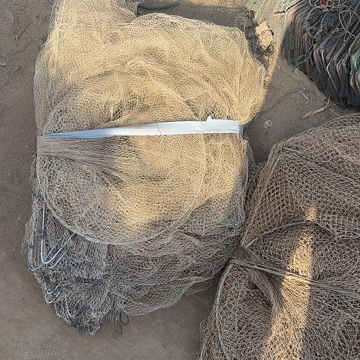 向***9鱼笼225445555555