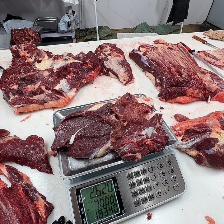 小***！12个月中国大陆前腿