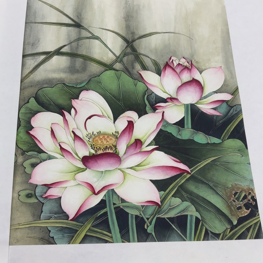 国画太**了36.40李倩 花鸟