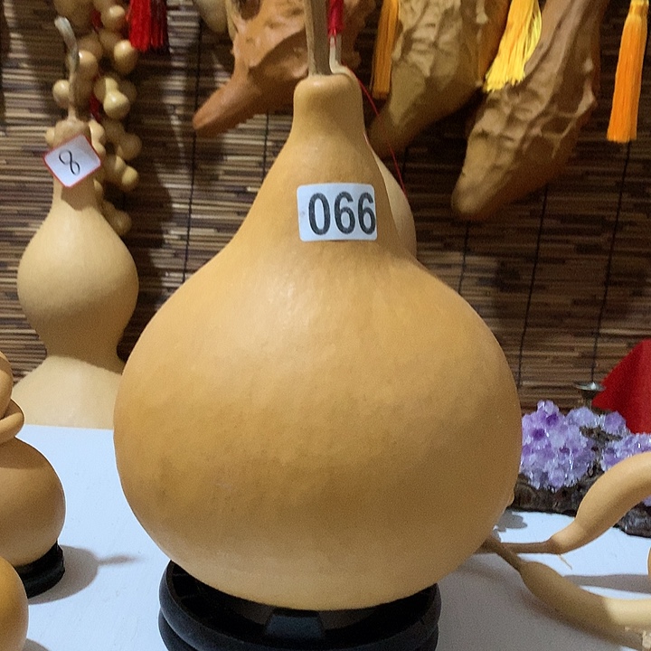 *****11号天然葫芦天然葫芦