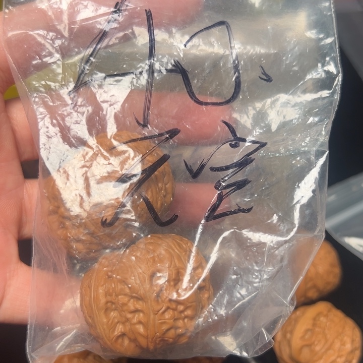 核桃元宝，40已打底