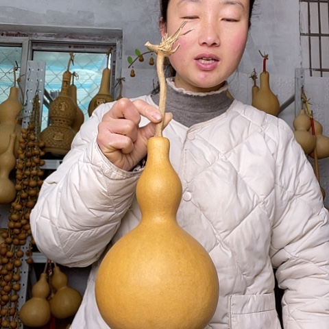 天然植物葫芦文玩