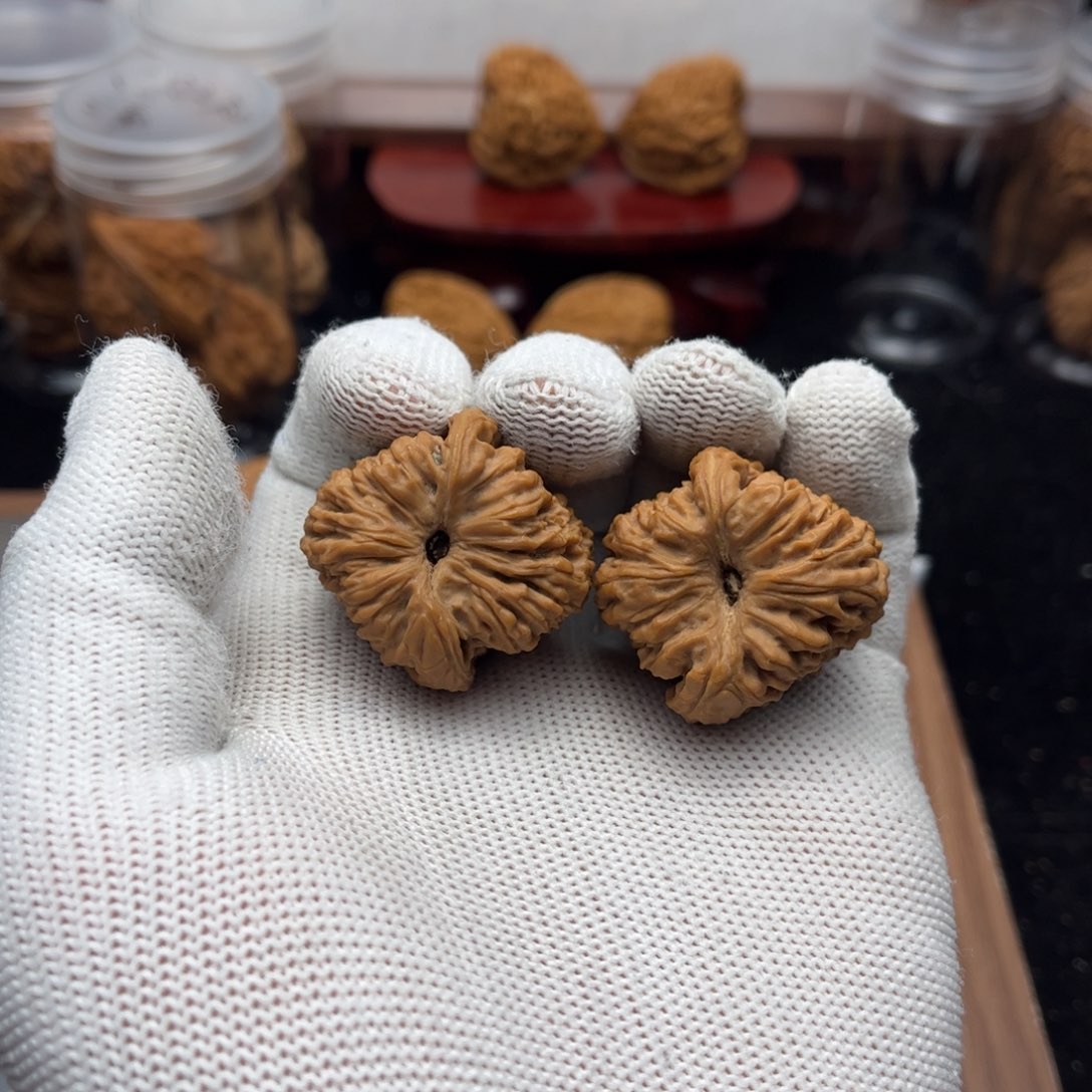 泷***。吊坠文玩核桃逐鹿拉起高炮