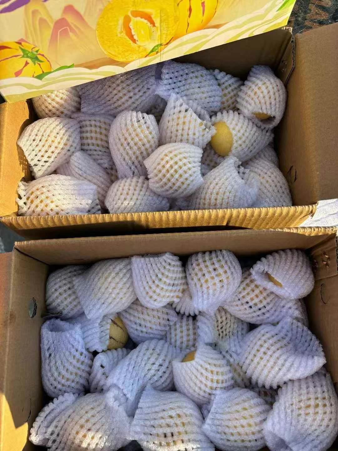 花香味甜口人参果3斤
