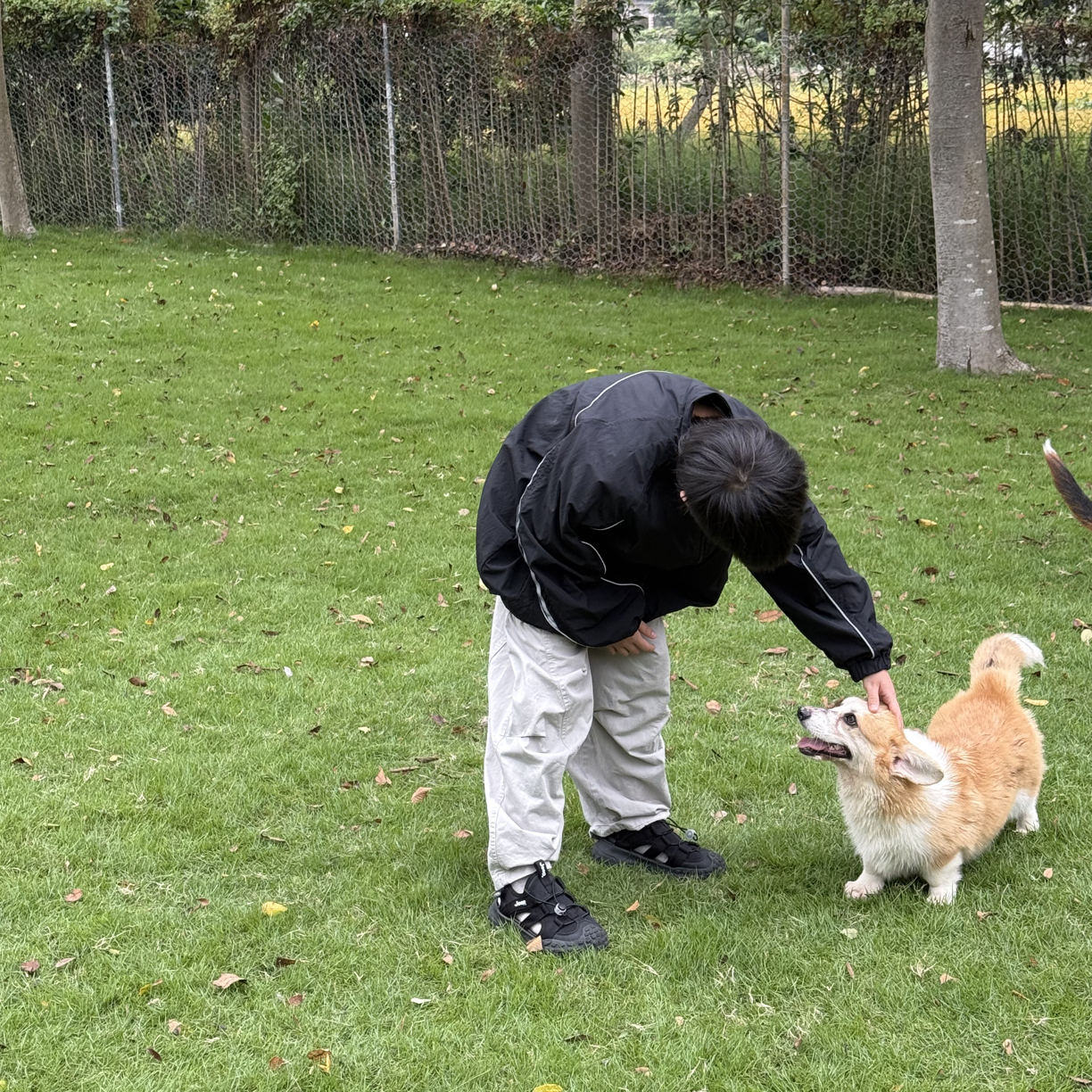 扣号童装男童女童上衣裤子T恤套装集合，乱拍不发货！