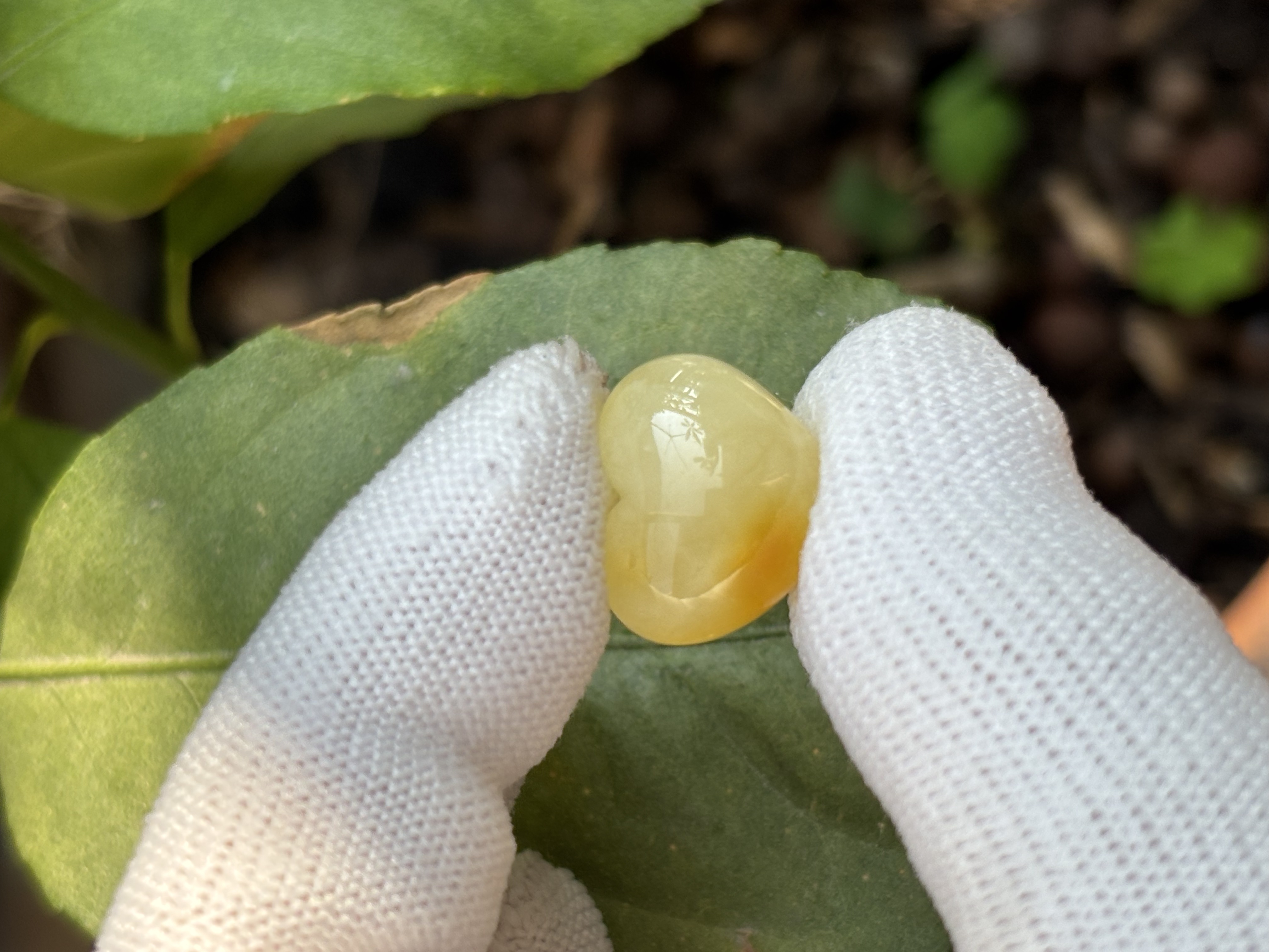 F0266天然蜜蜡琥珀屁桃配饰17.1x14.6x9.9mm