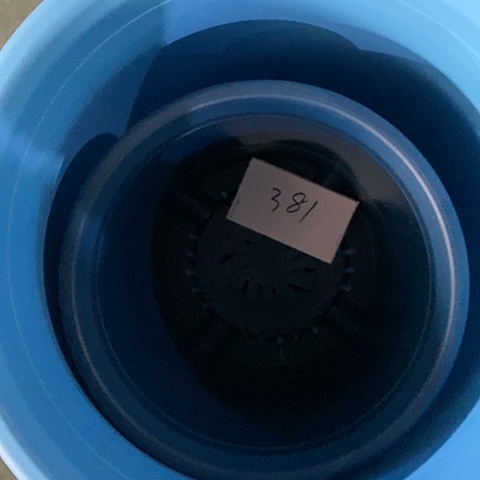 树脂?**?编号381缺口