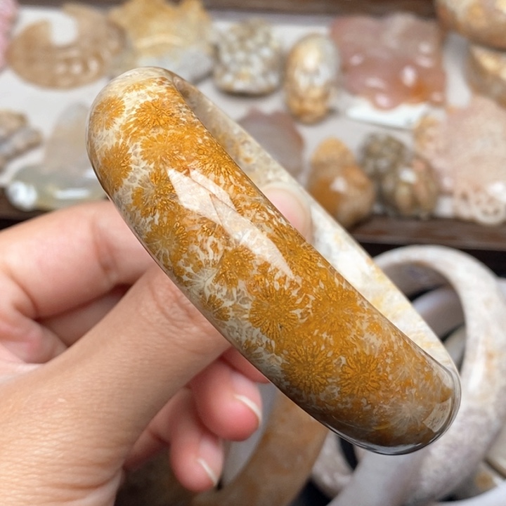 硅化珊瑚（珊瑚玉）手镯未镶嵌60.8