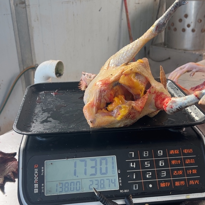 一号土鸡食用农产品中国大陆阿***8