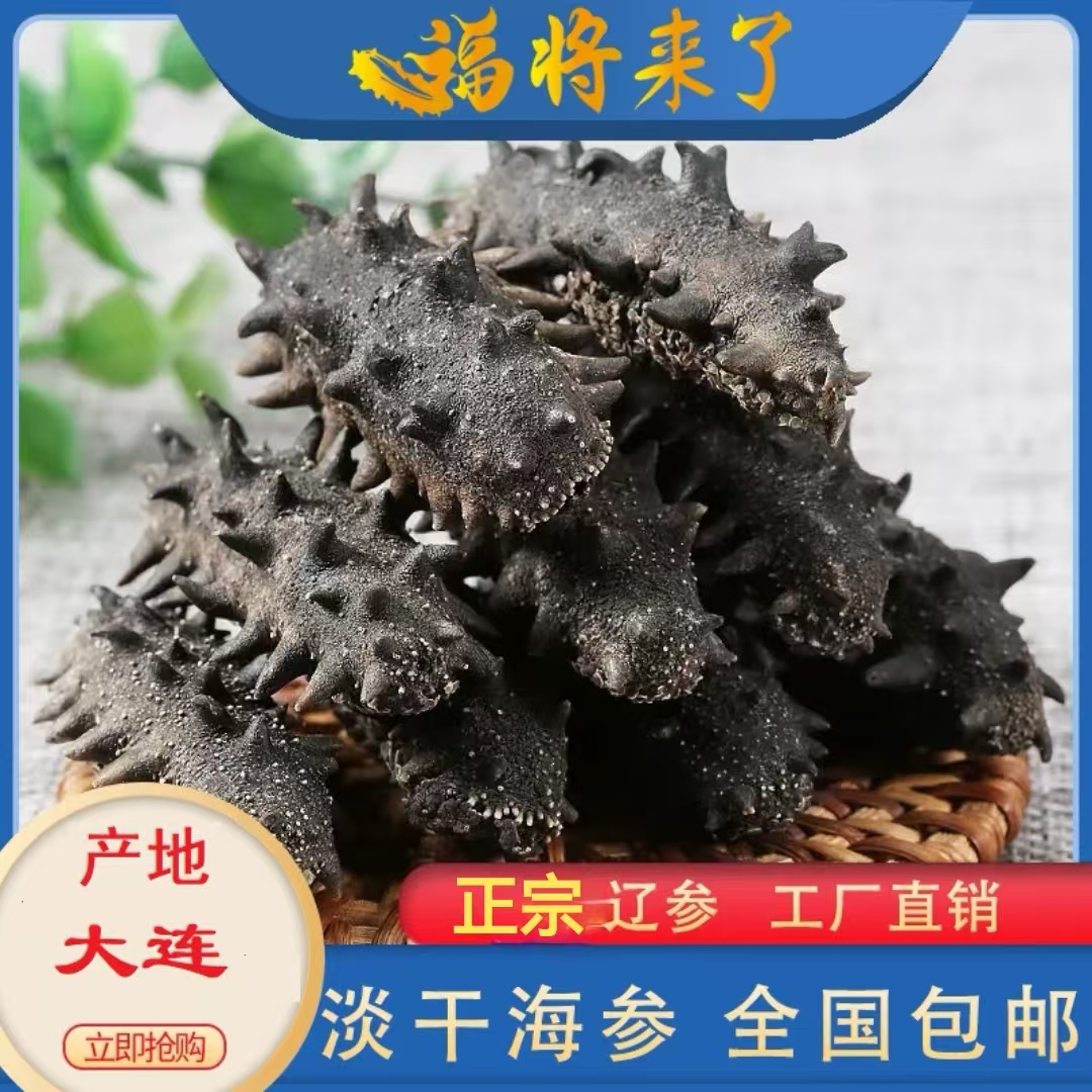 福匠来了大连超国标淡干海参高泡发干货100g包邮