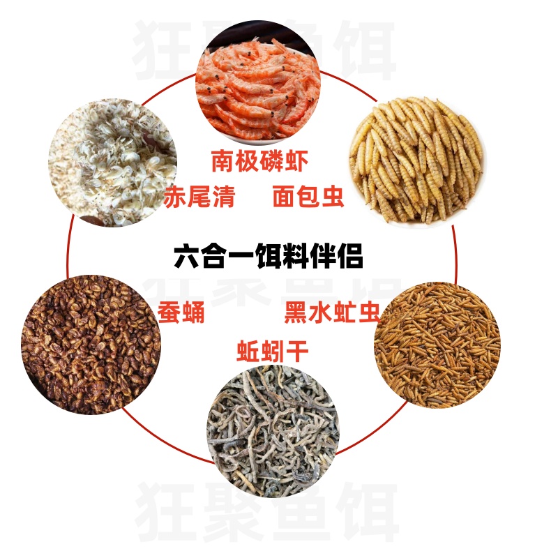 秋冬鲫鱼鲤鱼添加剂饵料伴侣野钓黑坑添加剂赤尾青南极磷虾蚕蛹