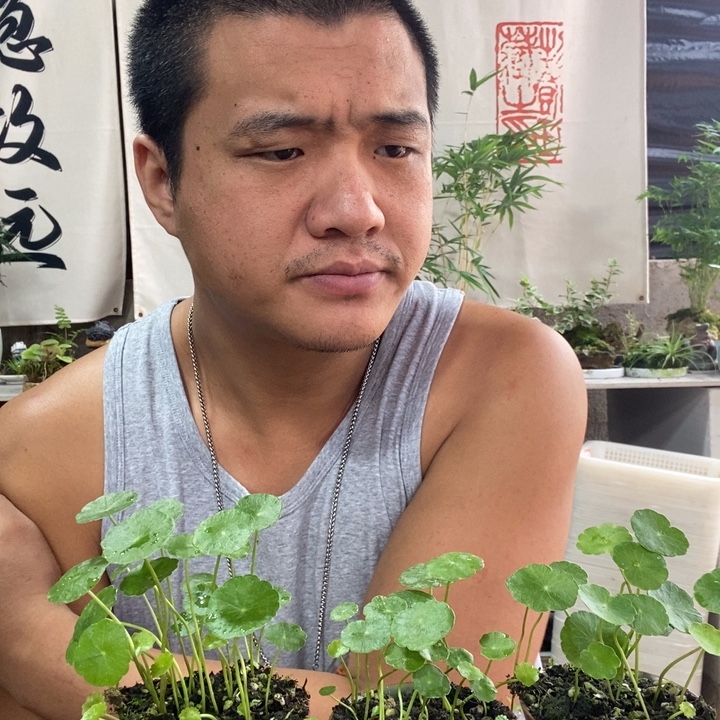 无花朵退款拉黑拉黑21