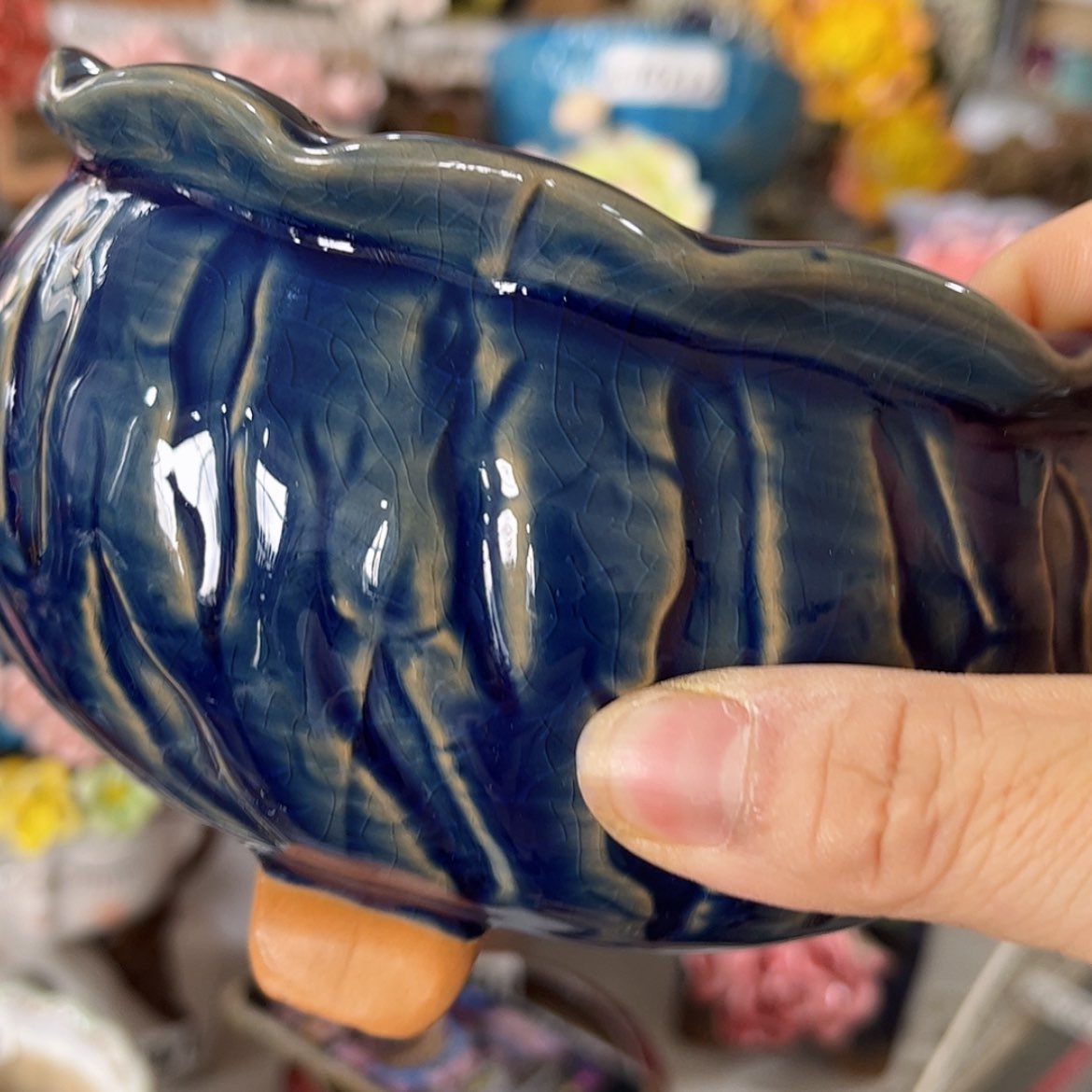 【闪购商品】红陶福利