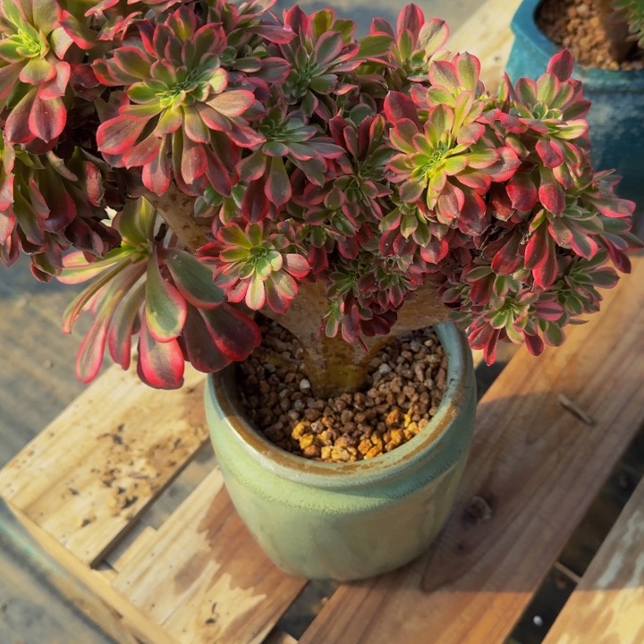 喜****8法师法师法师136