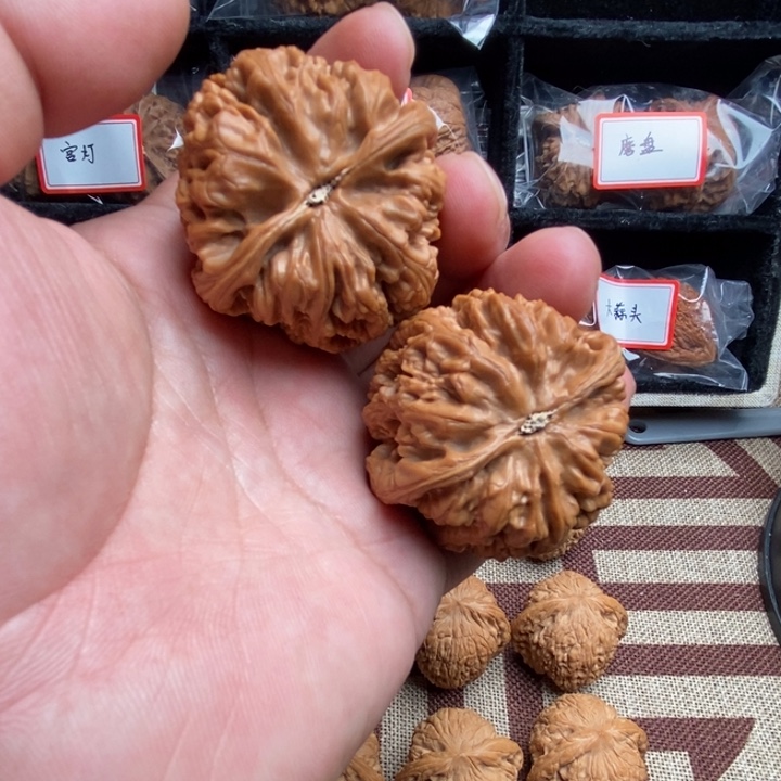 全品大粗筋45尺寸