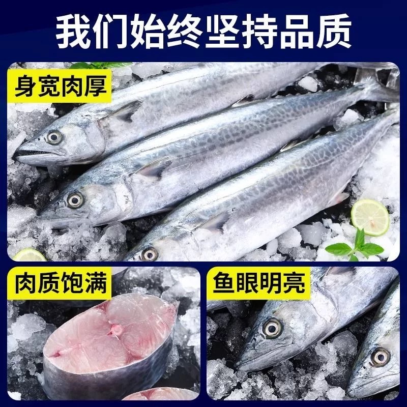 【鲜】渤海湾燕鲅鱼马鲛鱼4斤(3/4条装)易脱刺 介意勿拍 顺丰包邮