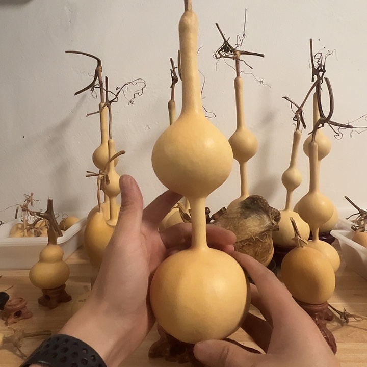 晴***舍三庭文玩葫芦种子120