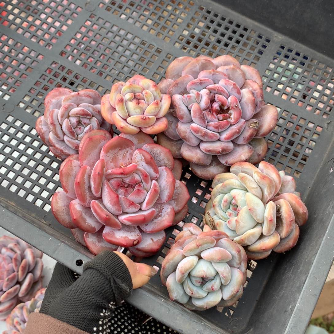 哈哈哈哈哈哈哈哈哈