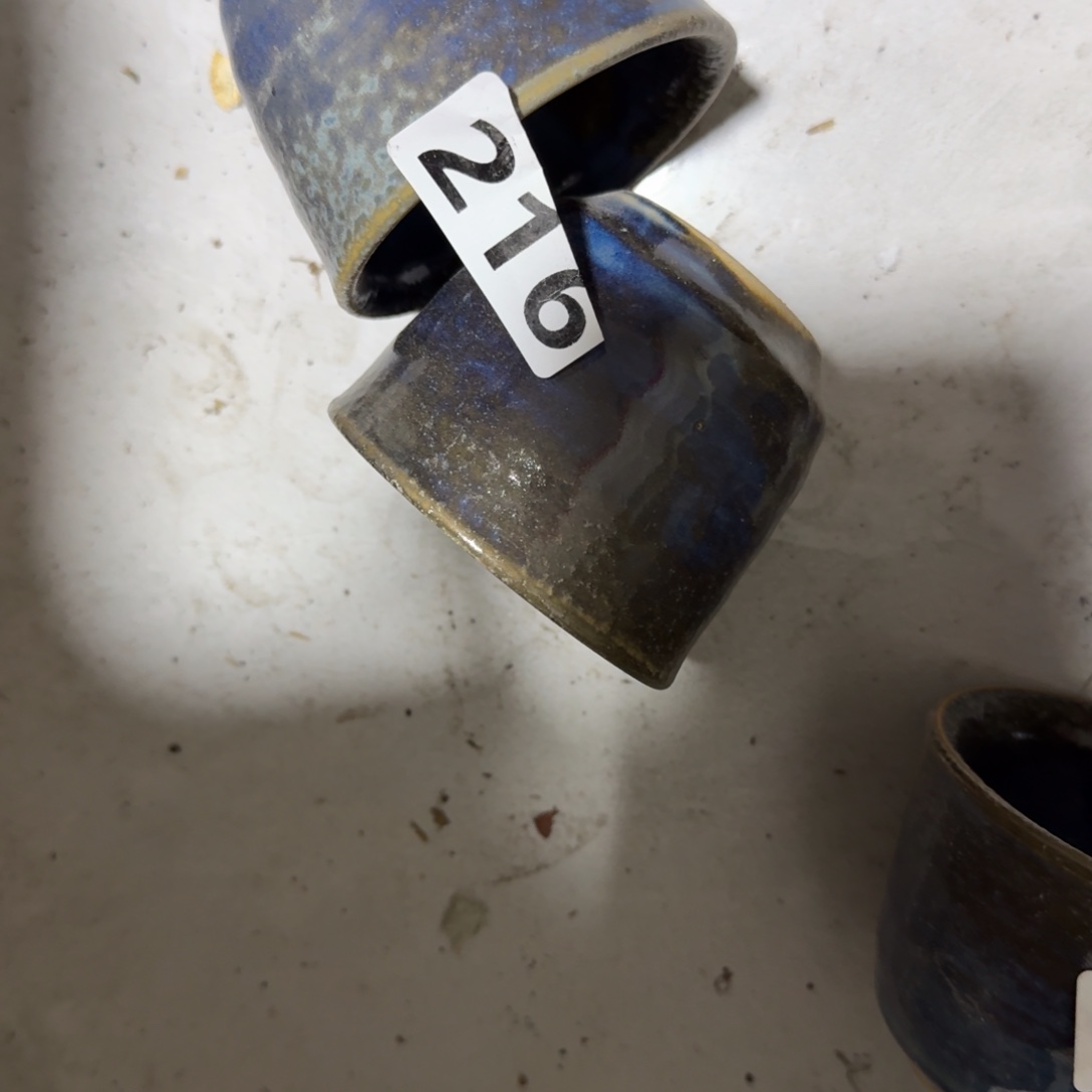 用***5茶盏在这个充满生机又神秘美丽色彩之