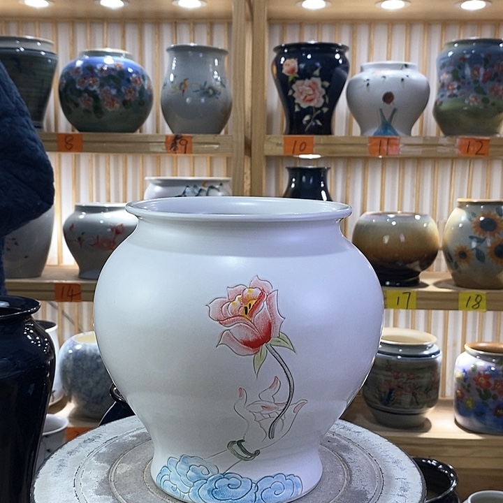 罐陶瓷陶瓷观察观察