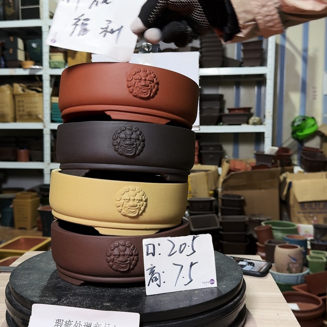 紫砂花盆哈哈这几集都在