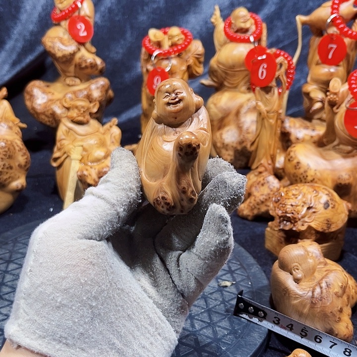 柏木（崖柏）乐乐26