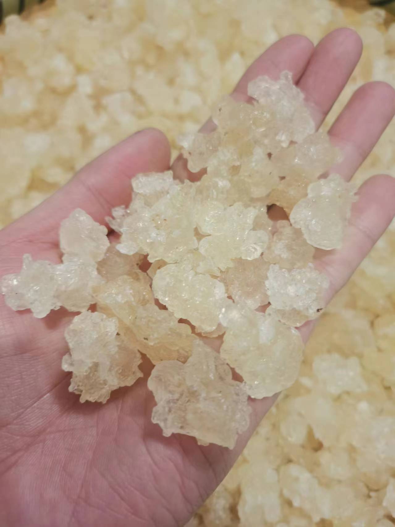 [婷妹专属]夏至枸杞  雪燕