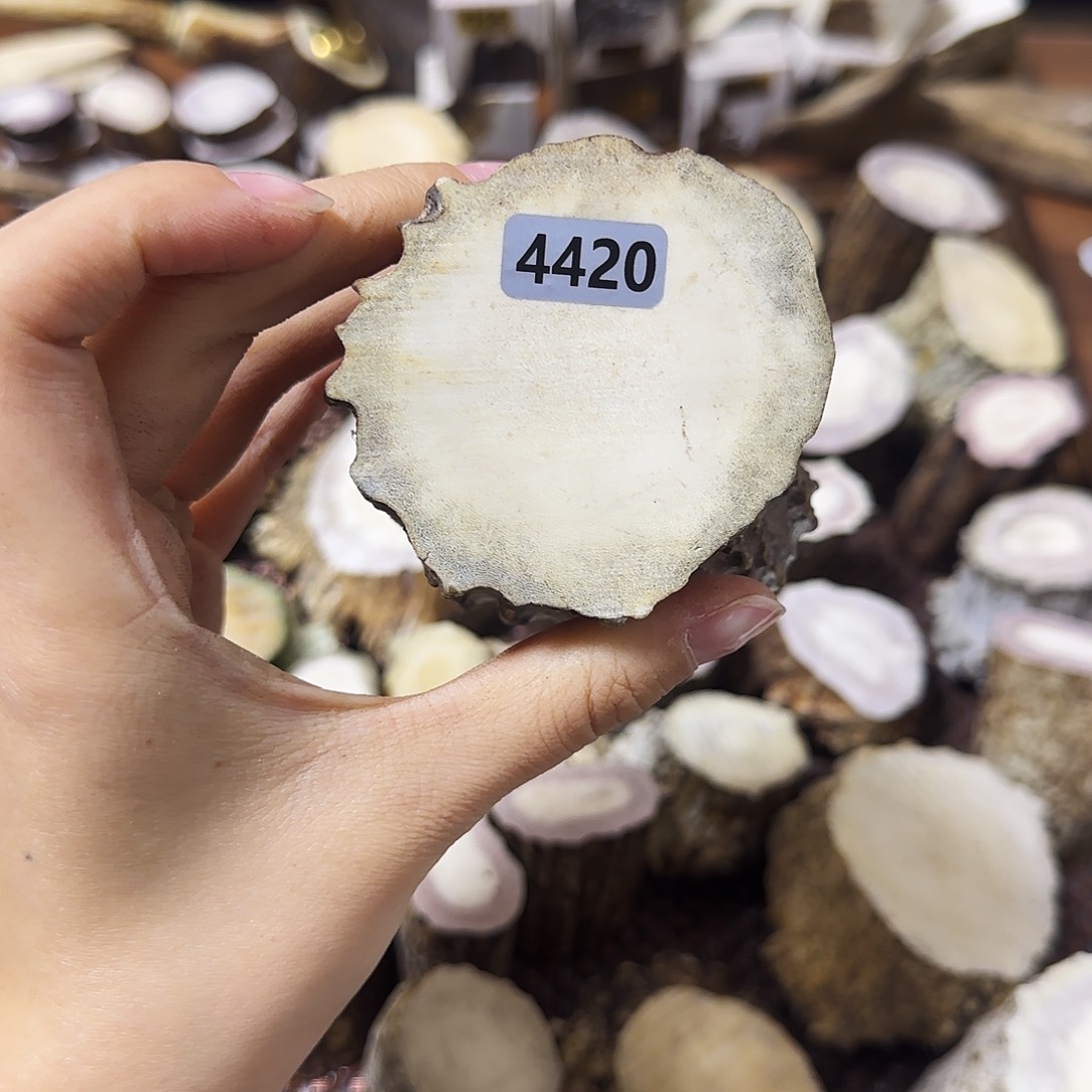 鹿骨手串/手链4420根段