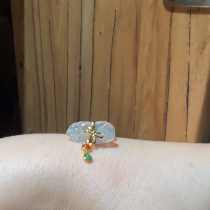 翡翠戒指未镶嵌金鱼