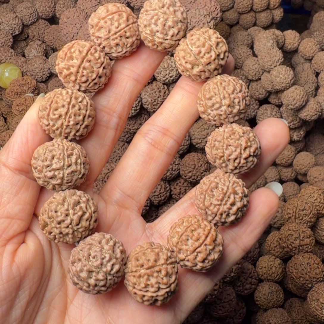 金刚菩提手串8瓣卡19尺，51号
